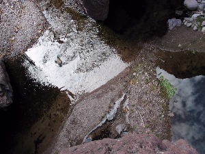 Ice in the stream near the top of our hike.
