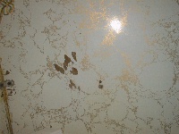 The Wall Before Digging Commenced.