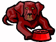 God's Dog