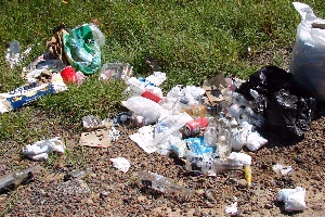 One Family's Trash