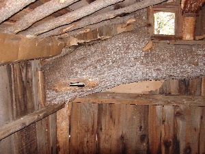 Inside from the doorway