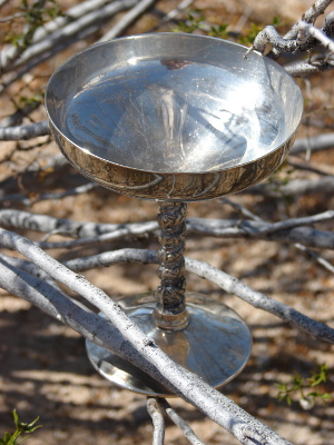 Silver Chalice.