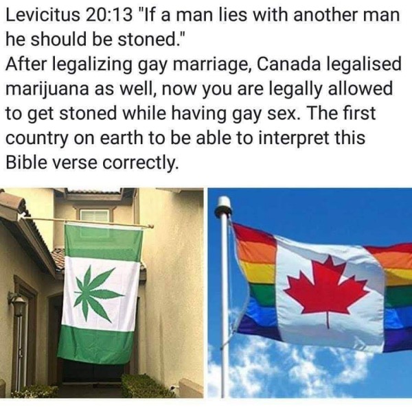 Levicitus