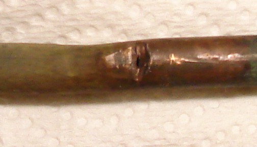 Hole In Propane Pipe