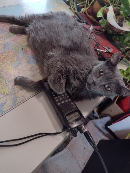 ME0W calling CQ CQ