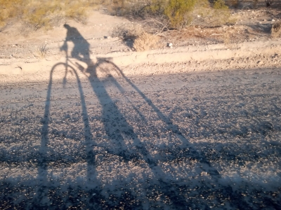 Bike Ride at Dawn