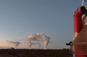 Cumulus Plumose