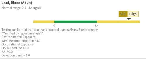 Lead In My Blood Test Report