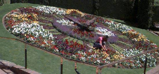 Floral Clock at CHCH
